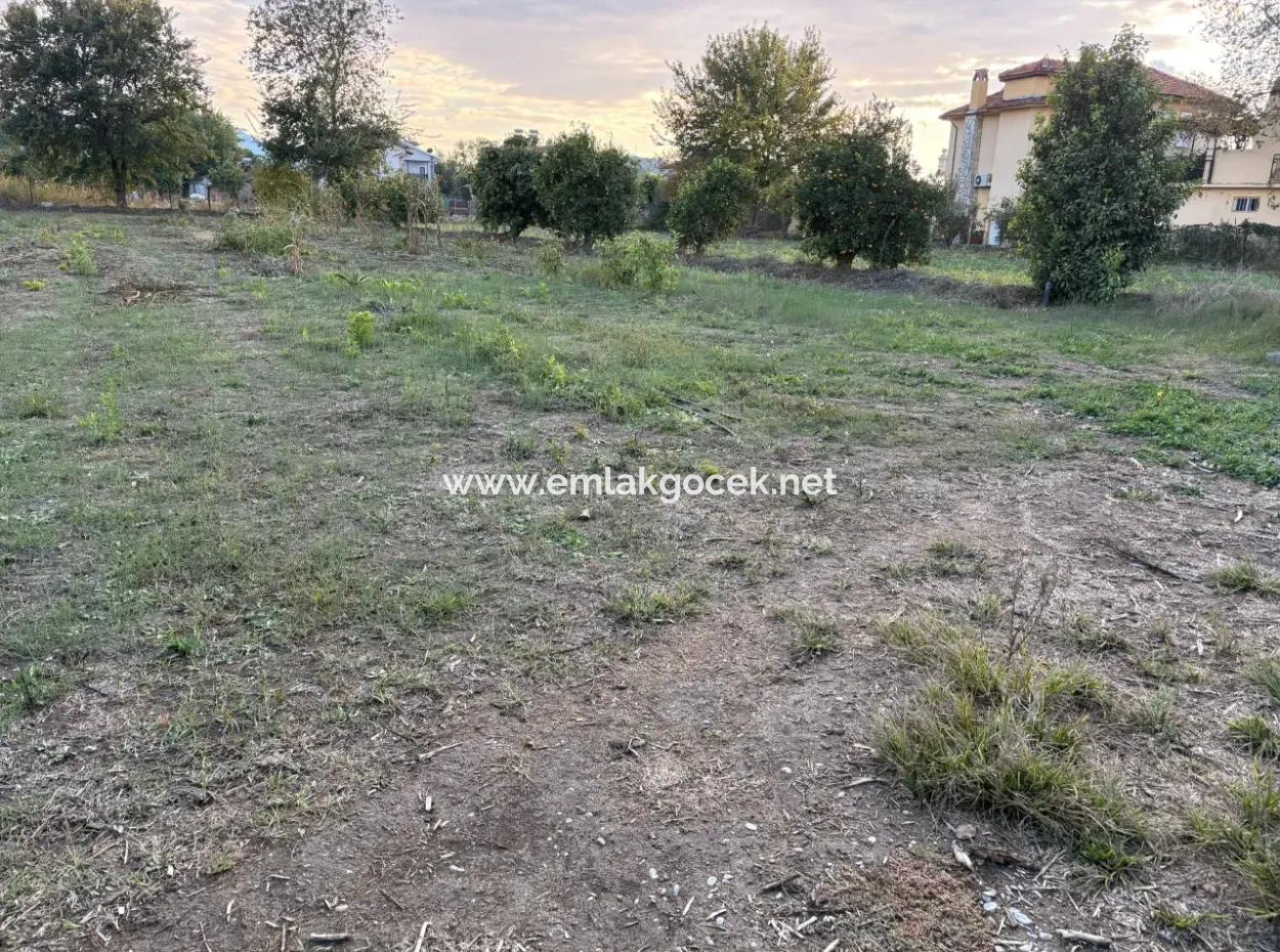 7.450M2 Land Zum Verkauf In Der Nähe Des Zentrums Von Dalyan