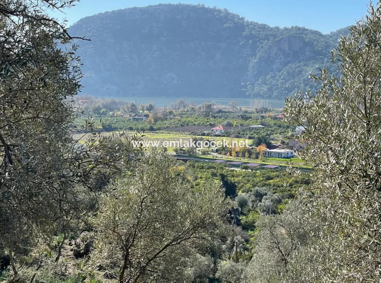 950M2 2B Feld Zum Verkauf Mit Meer- Und Seeblick In Çandır