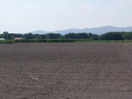 Bauernhof Zum Verkauf In Dalyan Eskikoy Eskikoy Oriya 14,900M2 Grundstück Zu Verkaufen Feld