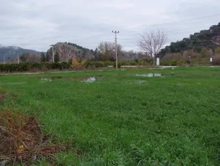 Gulpinar Dalyan Dalyan Zum Verkauf In 1002M2 Grundstück Für Verkauf Zum Verkauf Eckstein