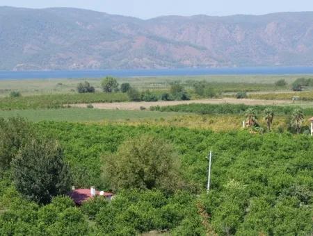 Bauernhof Zum Verkauf Bauernhof Zum Verkauf In Dalyan 73410M2