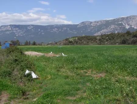 In Akyaka Zum Verkauf: Grundstück Zum Verkauf Bauernhof Zum Verkauf Einer Farm In Der Nähe Vom Meer, In Ars, Yatirimlik 21625M2