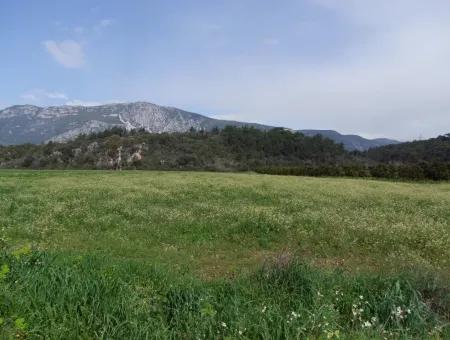 In Akyaka Zum Verkauf: Grundstück Zum Verkauf Bauernhof Zum Verkauf Einer Farm In Der Nähe Vom Meer, In Ars, Yatirimlik 21625M2