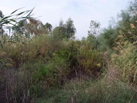 Grundstück Zum Verkauf In Dalyan Zum Verkauf In Dalyan-Kanal Null