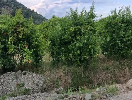 722M2 Grundstück Zum Verkauf In Dalyan Gülpınar Zum Verkauf