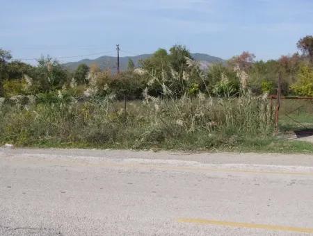 Grundstück Zu Verkaufen In Guzelyurt Land Zu Verkaufen Null 5515M2 Land Zum Verkauf An Der Hauptstraße