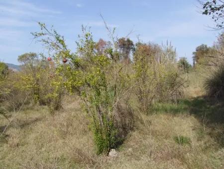 Güzelyurt Land Zu Verkaufen Dorf Gebaut 6670M2 Land Zum Verkauf