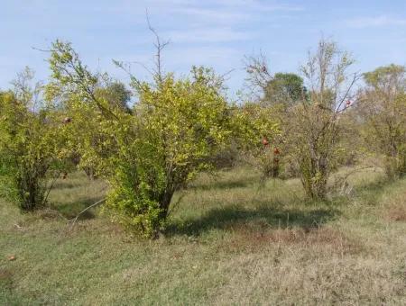 Güzelyurt Land Zu Verkaufen Dorf Gebaut 6670M2 Land Zum Verkauf