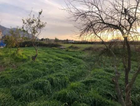 Bogenschützen Grundstück Zu Verkaufen 4707M2 Land Zu Verkaufen