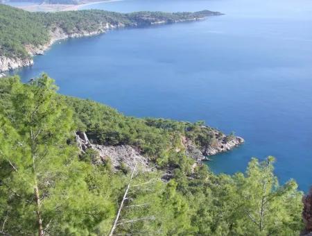 Immobilien-Schnäppchen-Grundstück Zu Verkaufen Mit Meerblick In Çandır Anruf In Ekincik