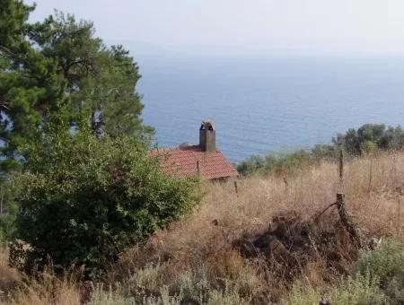 5000M2 Grundstück Zum Verkauf In Akyaka Mit Vollem Meerblick Haus Zum Verkauf Kentucky