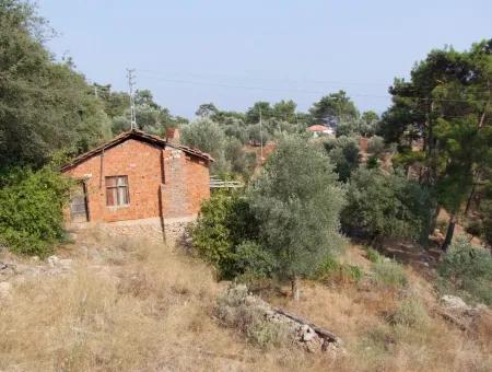 5000M2 Grundstück Zum Verkauf In Akyaka Mit Vollem Meerblick Haus Zum Verkauf Kentucky