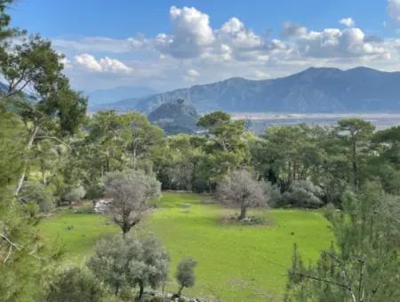 10.707M2 2B Feld Zu Verkaufen Mit Meerblick See In Çandır