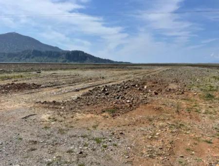 Dalyan Iztuzu Strand Straße Null 19.600M2 Feld Land Zum Verkauf