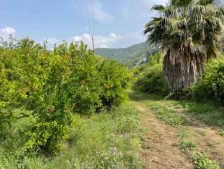 7800M2 Grundstück Zum Verkauf Am Anfang Der Strandstraße Iztuzu In Gökbel