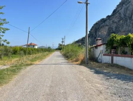 10.000 M2 Granatapfelgarten Zum Verkauf In Dalyan Arıkbaşı Und Gerendüzün