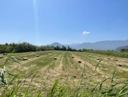 6.500 M2 Feld Zum Verkauf An Der Iztuzu-Straße In Dalyan