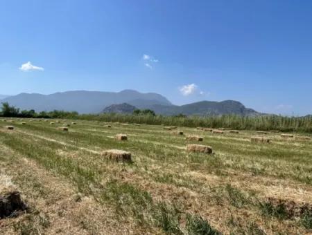 6.500 M2 Feld Zum Verkauf An Der Iztuzu-Straße In Dalyan