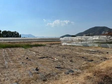 1462M2 Zoniertes Grundstück Zum Verkauf In Ortaca Ekşiliyurt