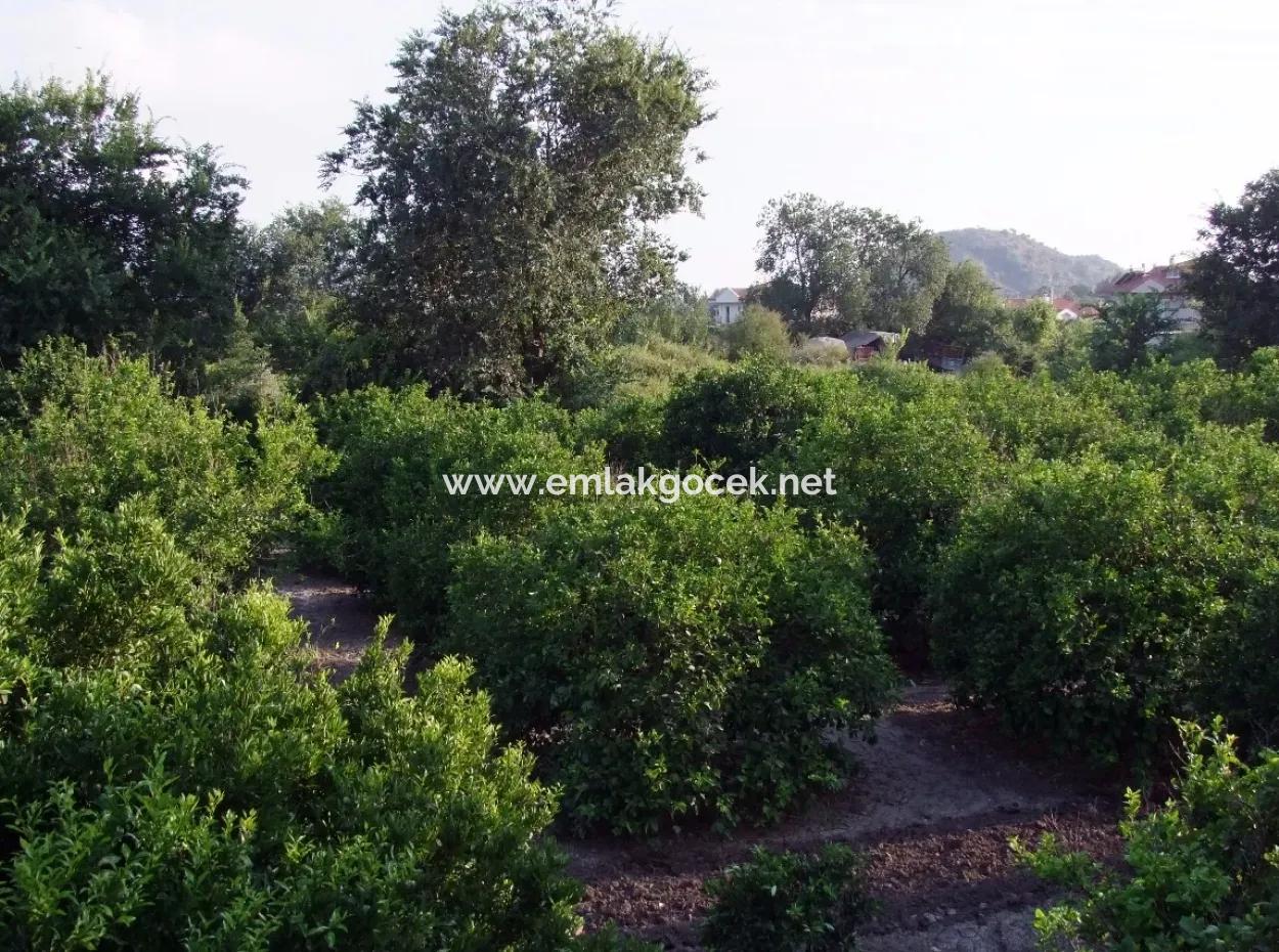 Near The Centre Of Dalyan In Dalyan Plot For Sale For Sale 987M2