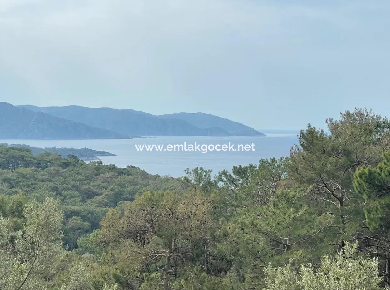 Olive House With Sea View In Ekincik Is For Sale