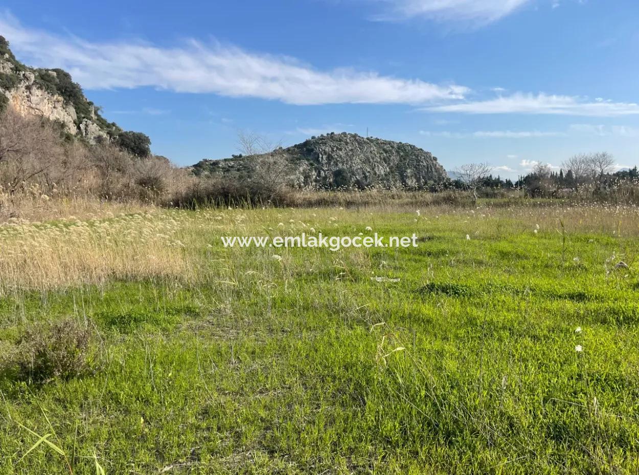 6800 M2 Land For Sale In Dalyan With 5% Residential Zoning