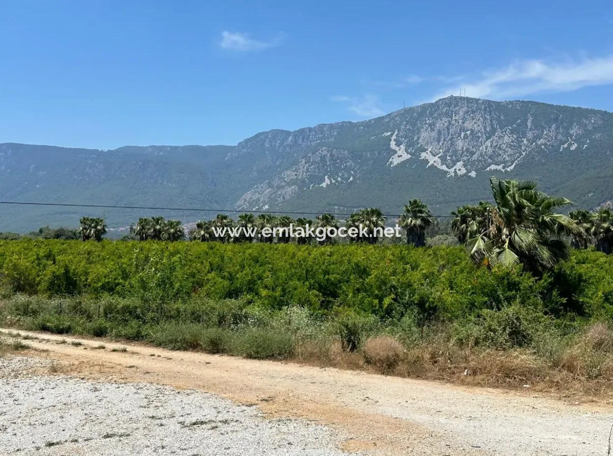 13,500M2 Roadfront Field For Sale In Akyaka Akçapınar