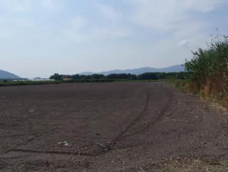 Farm For Sale In Dalyan Eskikoy Eskikoy Oriya 14,900M2 Plot For Sale Field