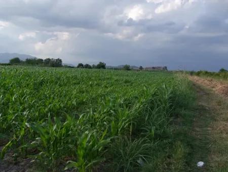 Farm For Sale Near The Centre Of Dalyan,14, 612M2 Farm For Sale