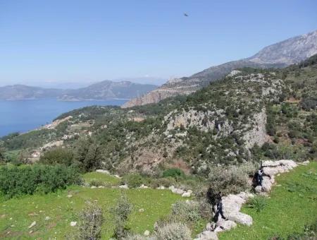 For Sale In Faralya Faralya With Sea View And 11,286M2 Land For Sale Tourism