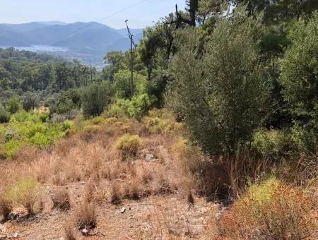 Tourism Zoned Land For Sale In Gocek With Sea Views For Sale In Gocek