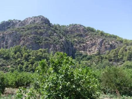 In Dalyan Plot For Sale In Channel Zero