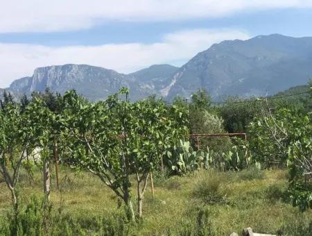 Land For Sale In Seydikemer Korubuku 76000M2