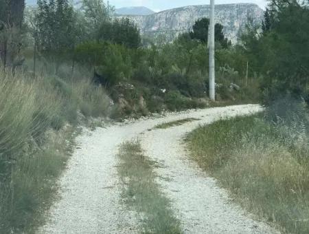 Land For Sale In Seydikemer Korubuku 76000M2