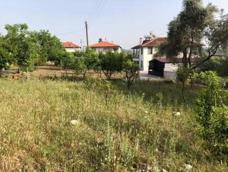 Village House In Koycegiz, 903M2 2 1 Zeytinalani Is For Sale.