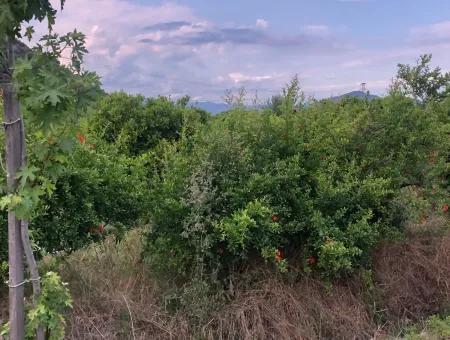 722M2 Plot For Sale In Dalyan Gülpınar For Sale