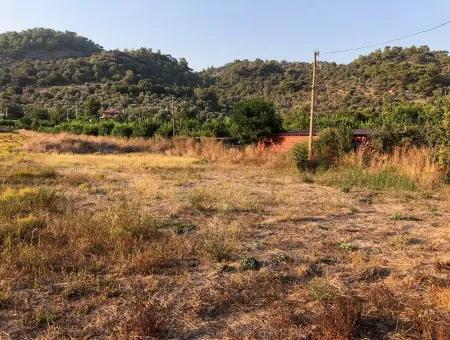 2300M2 Land For Sale Near The Center Of The Land For Sale