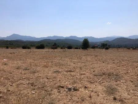 11.227M2 Land For Sale With Lake Views In Köyceğiz Zeytinalanı