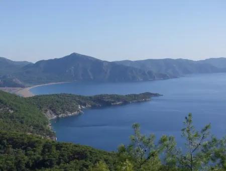 Real Estate Bargain Plot For Sale With Sea Views In Çandır Call In Ekincik