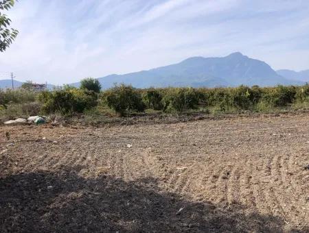 Land For Sale In Esköy 8500M2 Field Land For Sale