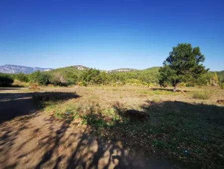 Land Land For Sale In Çamlıda Marmaris Çamlıda Sea View 11720M2 Land For Sale