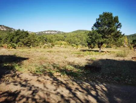 Land Land For Sale In Çamlıda Marmaris Çamlıda Sea View 11720M2 Land For Sale