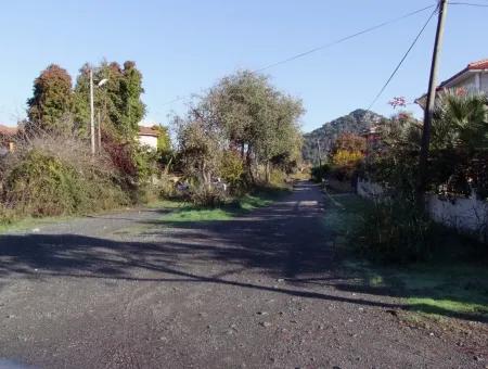 For Sale Plot For Sale Plot For Sale In Dalyan Gurpinar 1006M2 At The Corner