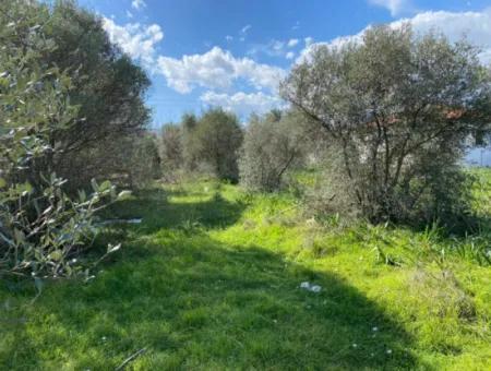 401M2 Land For Sale In Ortaca Cumhuriyet Neighborhood