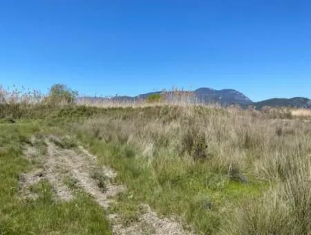 9310M2 Land For Sale In Dalyan