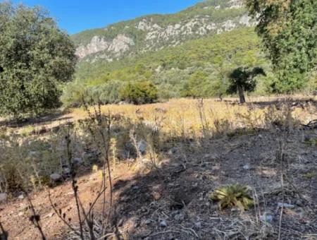 2620M2 Land Field For Sale With Sea View Of Çandir