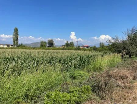 Dalyan Main Road Zero Land For Sale 8115M2 Commercial Land For Sale