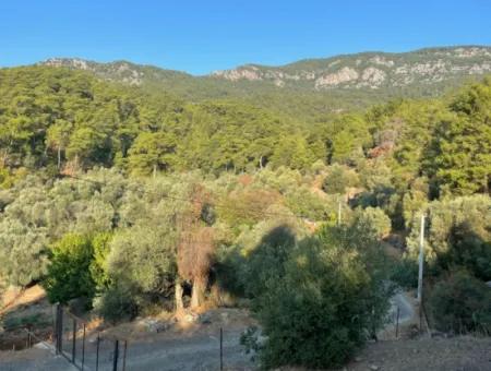 Çandir 3,800M2 Land For Sale