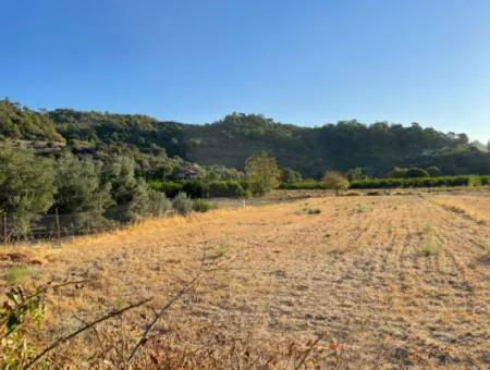 2000M2 Land For Sale In The Built-Up Area Of Çandir Village