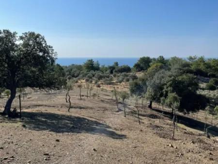 Land For Sale With Sea View Of Çandir